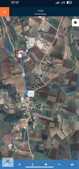 Karacabey Karasu Mahallesinde Satılık Zeytin Bahçesi