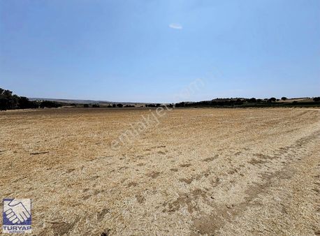 Ayvacık Kösedere Kösedere Köyünde Denize 1km Satılık Tarla