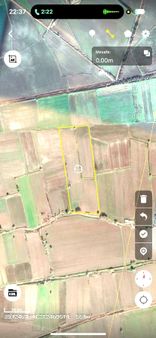 Araplı Ovasında Satılık Tarım Arazisi