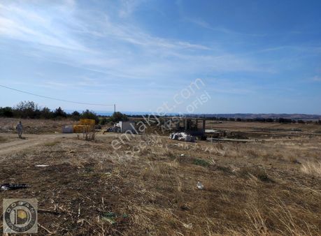 Silivri Çanta Balabanda Satılık 250 Metre Etrafı Telçevrili Arsa