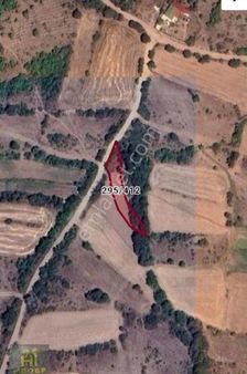 Amasya Merzifonda Satılık Bag