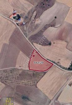 Amasya Merzifon Da Satılık Tarla