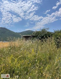 Burdur Bucak Gündoğdu Ayva Bahçesi