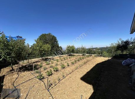 Royal Office | Orhaniye Cemiyette Satılık Villa