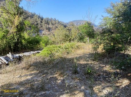 Semih'den Eğercede Yola Cephe Doğa İle İç İçe Müthiş Arazi