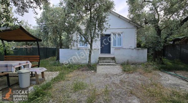 Müşkülede Asfalt Cephe 516 M2 Arsalı Satılık Bahçeli Müstakil Ev