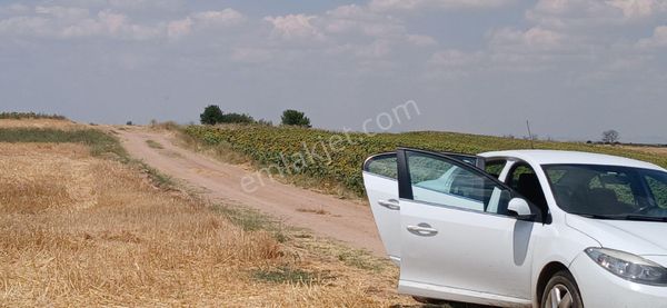 Edirne Merkez Orhaniye Köyünde 8500m2 Yolu Olan Tarlamız Satılık