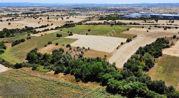 Çanakkale ︎biga ︎balıklıçeşme Osb Sanayi Yanı ︎satılık Tarla