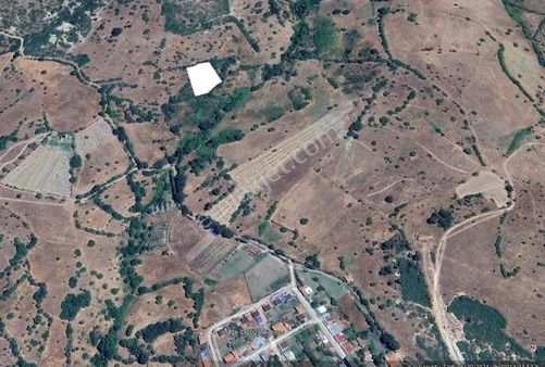 Balıkesir Sındırgı Düvertepe Acil Satılık 2.047m2 Bağ 260.000tl