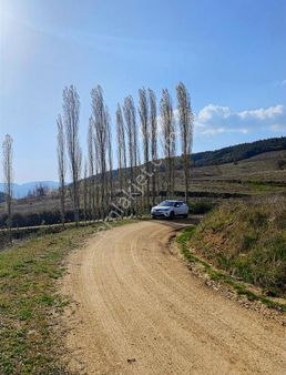 Balıkesir Bigadiç Tufullar Acilsatılık 6.647m2 Sadece 430.000 Tl