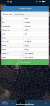 Orhaneli Esentepede 550 Adet Ceviz Fidanlı Tek Tapu Bahçe!