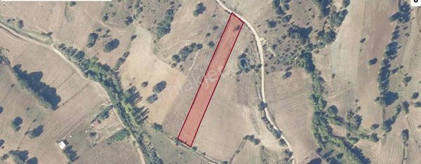 Bilecik Pazaryeri Karaköy'de Satılık 5567 M2 Tarla