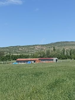 Afyonkarahisar İmara Yakın Satılık Tarla