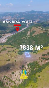 Evim-nur'dan Kavak Tekke Mh 3.838m2 Yatırımlık Kaçırılmayacak Fırsat