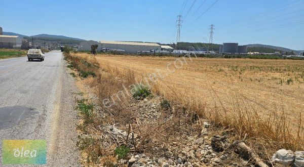 Bodrum Karayolu Uzeri Satılık...