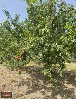 Yakaköy Merkeze Yakın Bölgesinin En Manzaralı Bahçesi