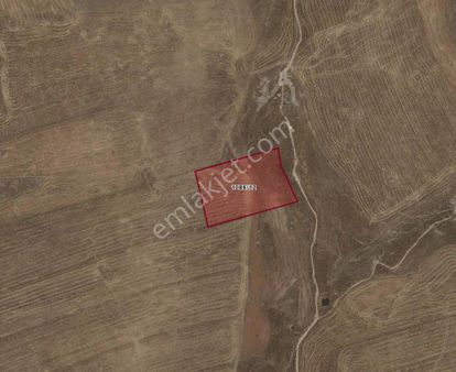 Yaşarsoy Gyo'dan Haliliye Dağeteği Otobana Yakın Uygun Tarla