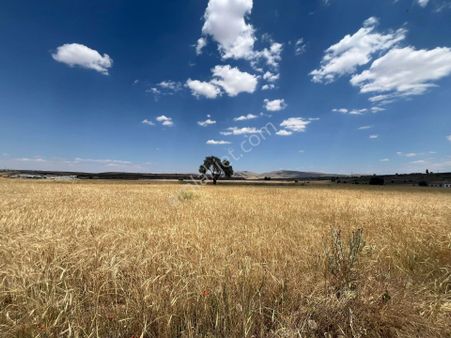 Talas Ardıç Mh Malatya Yoluna Cephe Satılık Tarla280-1