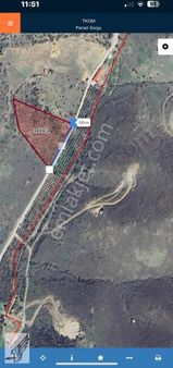 Sığacık Mahallesinde Zeytinlik