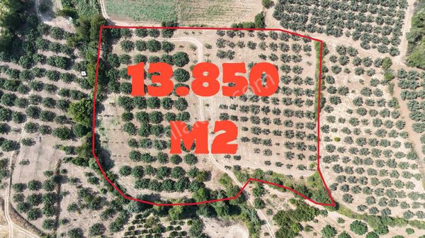 Mudanya Mürsel' De İmarın Dibinde Fırsat Arazi