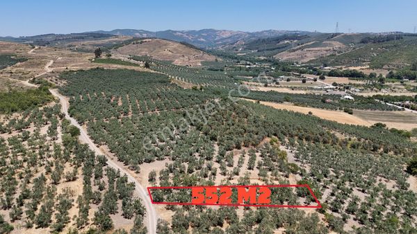 Mudanya Çekrice' De Fırsat Yatırımlık Arazi