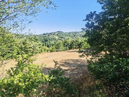 10.800 M2 Ormana Cepheli Tarla, Bağ-bahçe, Hobi Bahçesi Fındıklı