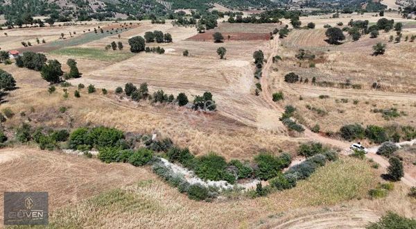 Muğla Menteşe Yenibağyaka Da 2.538 M2 Yolu Olan Tarla