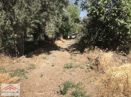 Güven Emlaktan Satılık Uygun Fiyatlı 730 M2 Zeytinlik