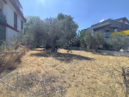 Altınoluk Fenerde Denize Ce Anayola Yakın Satılık Arsa...