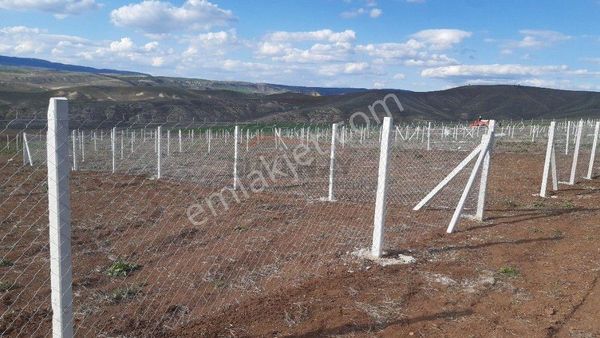 Çorum Merkeze 5 Km Mesafede Sarmaşa Mevki Satılık Hobi Bahçeleri