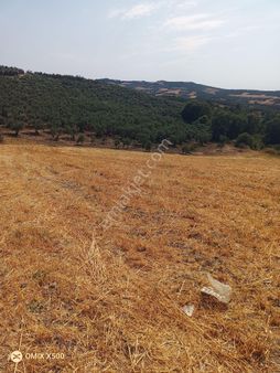 Bursa Nilüfer Konaklı Satılık Tarla Hissesi