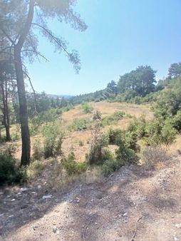 Lapseki Umurbey Yola Cephe 6 Dönüm Tarla