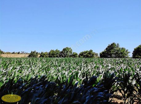 Eskidji Gayrimenkulden Satılık