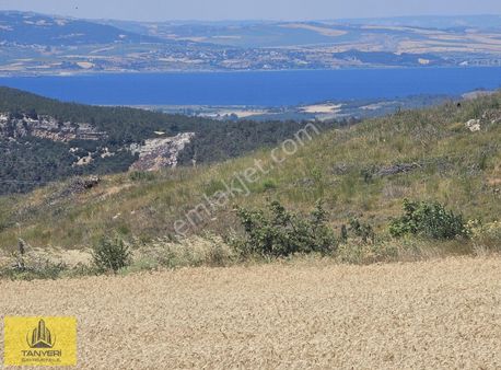 Kızılkeçili Köyü 230 Mt Yola Cephe Köye Yakın Satılık 21.132 M2