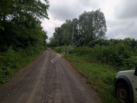 Fındık Bahçesi Satılık