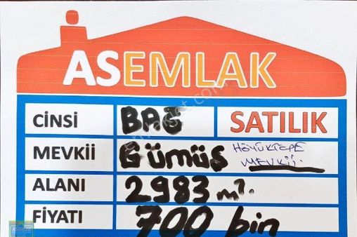 Gümüşhacıköy Gümüş Te Bağ Bahçe Yeri.. Asemlak Satıyor