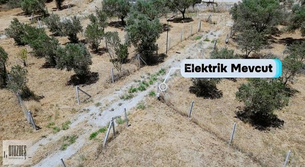 Otuzbeş'ten Kemalpaşada 303 M²parsel Yatırımlık, Hemen Teslim