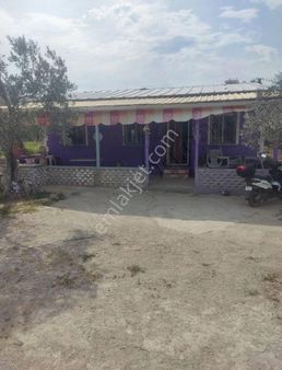 Efendi Mahallesi Kareyel Mevki Süper Konumda