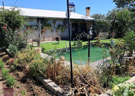 Dikili İzmirli’de 33 Dönüm Satılık Zeytinlik – 1200 Ağaç, Taş Ev, Havuz, Traktör Ve Tarım Ekipmanlar