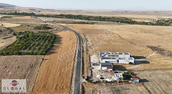 Globalden Güllücede Yumurta Çiftliği Yanı 14 Dönüm Satılık Tarla