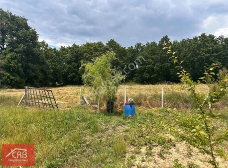 Tek Tapu Hobi Bahçesi Tarla