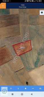 Yumurtanın Başkenti Başmakçıda 2789 M2 Merkezde Tarla Uygun Fiya