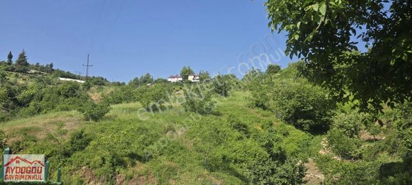 Aydoğdu Gayrimenkulden Karaçoban Yaylasında Satılık Bahçe