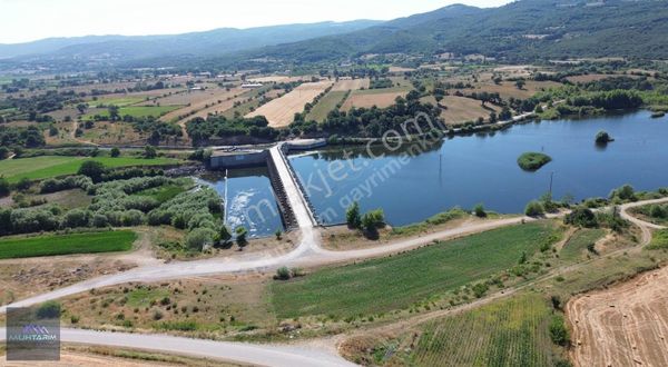 Muhtarımdan Manyas Necip Mah.barajın Dibi 5.500 M2 Tarla