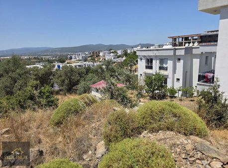 Mumcular Da İmar Çizgisinde Satılık Tarla