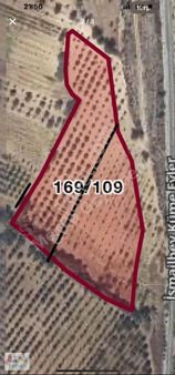 Manisa Şehzadeler Sancaklı Bozköyde Satılık Tarla