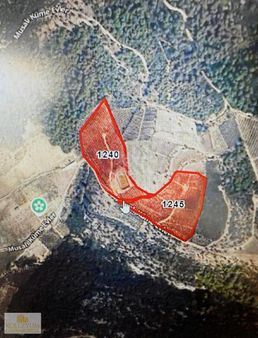 Kolezyum Dan Toroslar Musalı Da Satılık Wmorkout Mandalina Bahçe