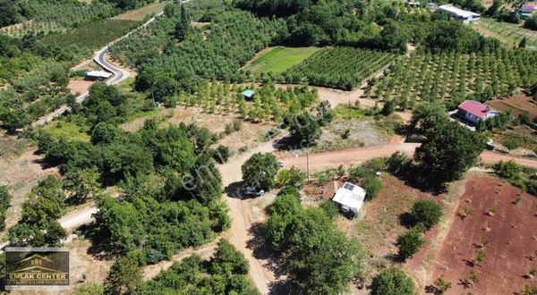 Kestel Kozluörende Tek Tapu 925 M2 Muhteşem Manzaralı Hobi Bahçe