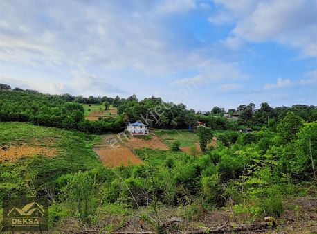 Karamürsel Osmaniyede Anayola Cephe 8115 M2 Kupon Arsa