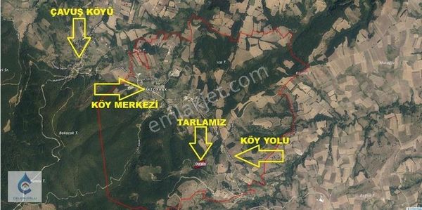 Yalova Altınova Aktoprak Köyünde Satılık 7.804 M² Tarla